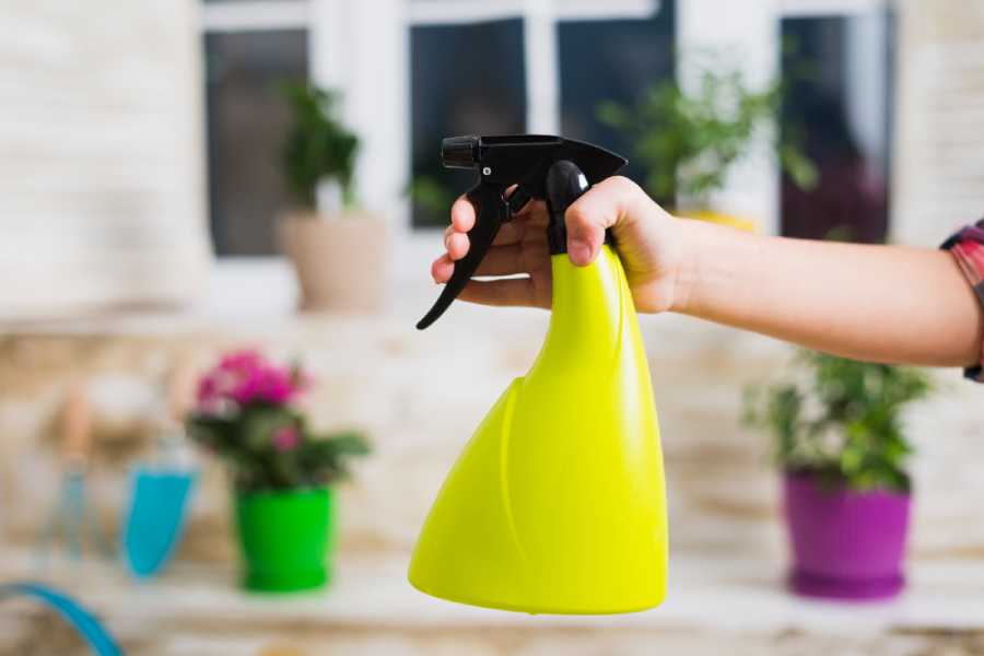 بهترین حشره کش های خانگی 
