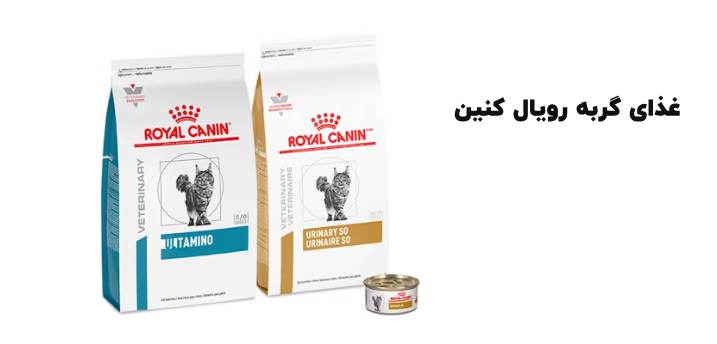 معرفی محصولات رویال کنین