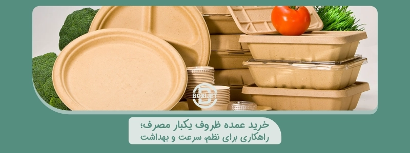 خرید عمده ظروف یکبار مصرف راهکاری برای نظم، سرعت و بهداشت